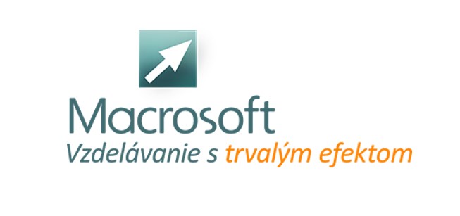 macrosoft logo